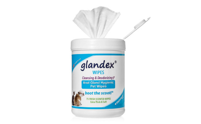 Glandex Deodorizing Wipes for Dogs