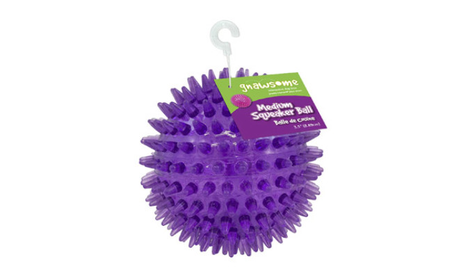 Gnawsome Squeaker Dog Ball