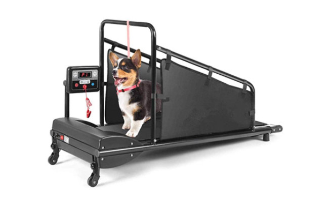 Goplus Dog Treadmill