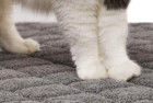 Gorilla Grip Durable Cat Litter Mat