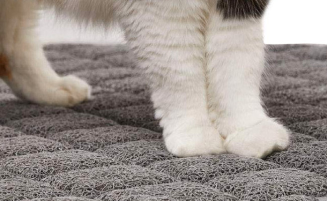 Gorilla Grip Durable Cat Litter Mat