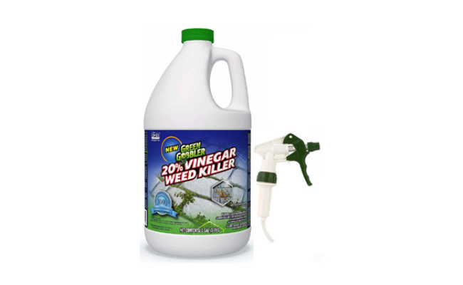 Green Gobbler Vinegar Weed & Grass Killer