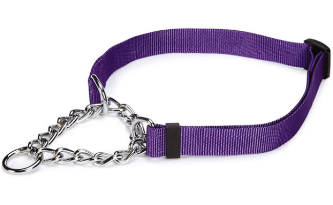 Guardian Gear Martingale Dog Collar