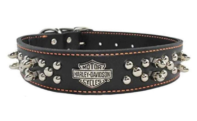 HARLEY-DAVIDSON Spiked Leather Dog Collar