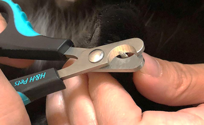 H&H Pets Cat Nail Clippers