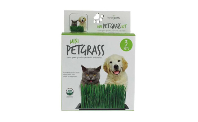 Handy Pantry Organic Cat Grass Kit