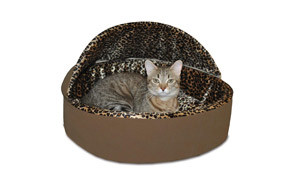 chewy heated cat beds