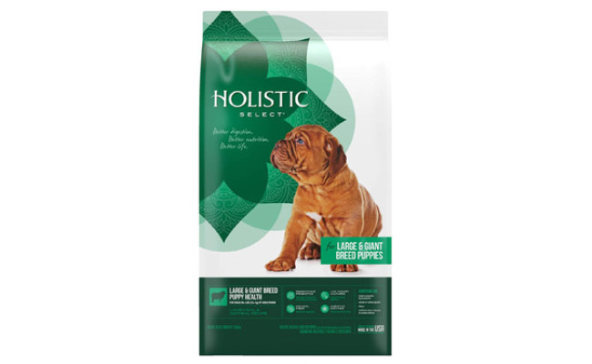 Holistic Select Health Lamb Meal & Oatmeal Dry Dog Food