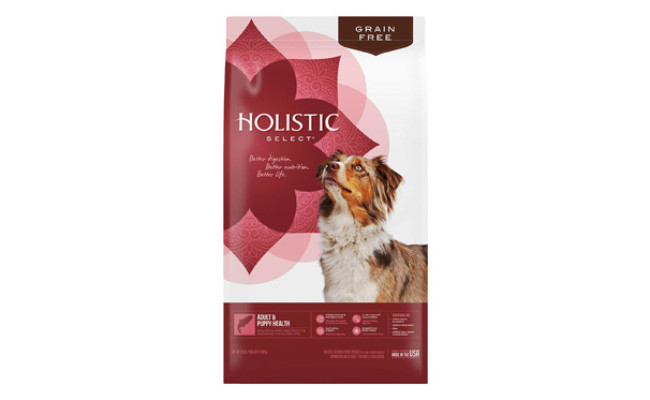 Holistic Select Natural Dry Dog Food