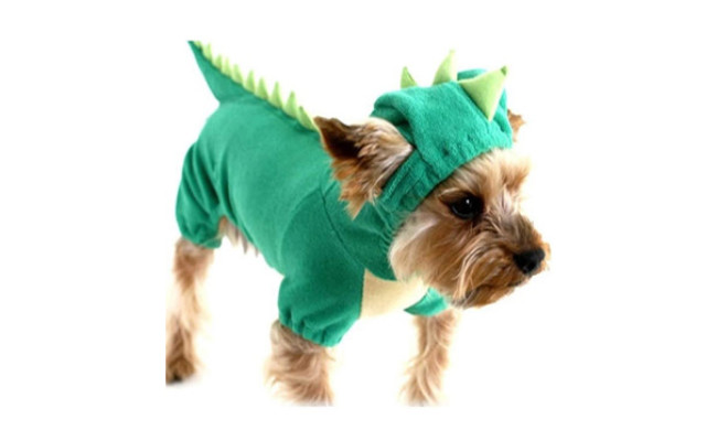 Hotumn Dinosaur Dog Halloween Costume