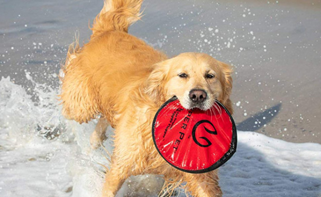 Hyper Pet Dog Frisbee Toy