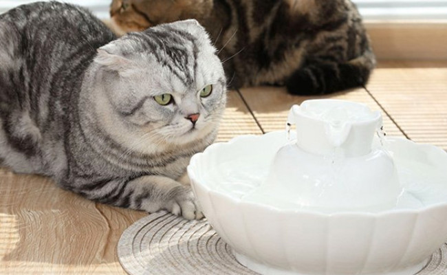 IPETTIE Tritone Ceramic Cat Drinking Fountain