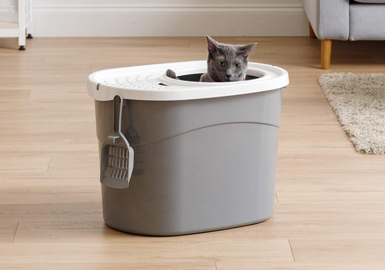 IRIS Top Entry Cat Litter Box