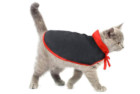 Idepet Cat Halloween Costume Cloak