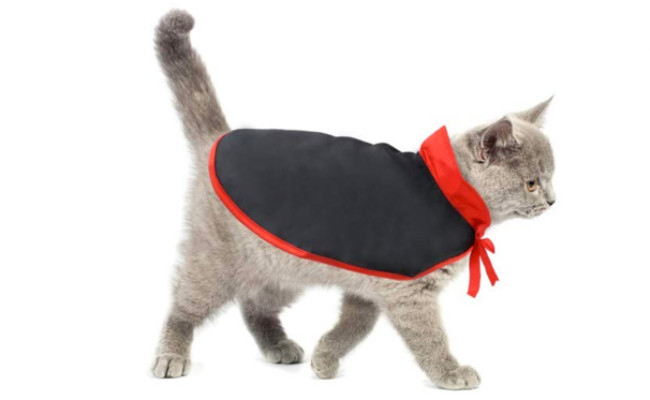 Idepet Cat Halloween Costume Cloak