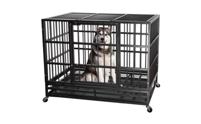 Itori Heavy Duty Metal Dog Crate