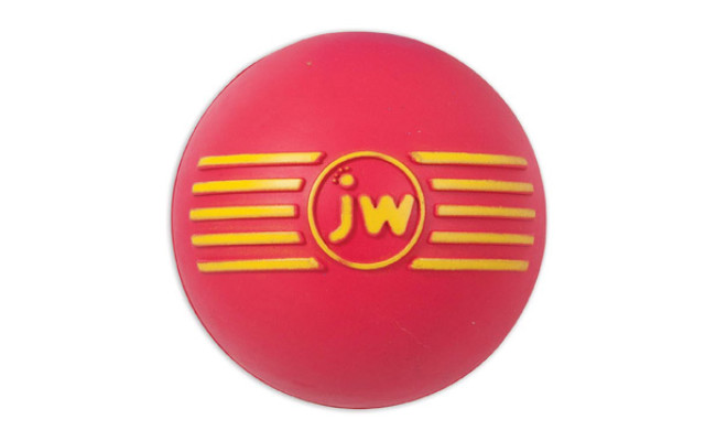 JW Pet Ball Rubber Dog Toy