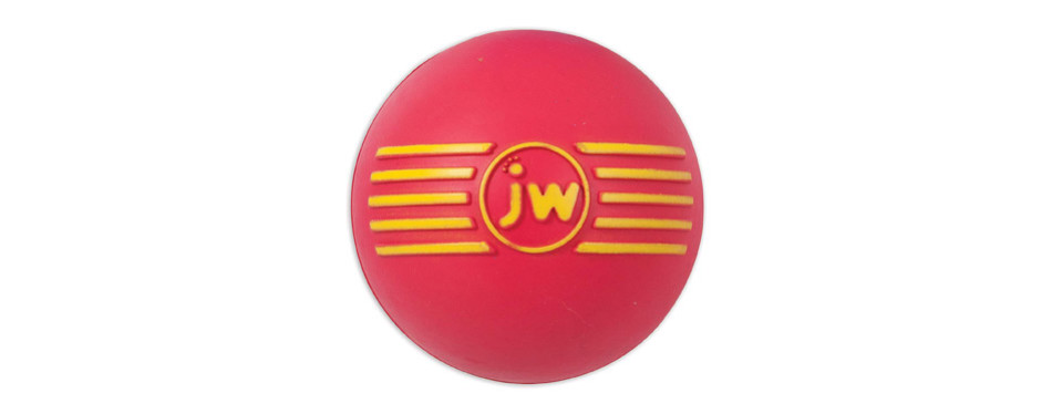 dog ball with holes