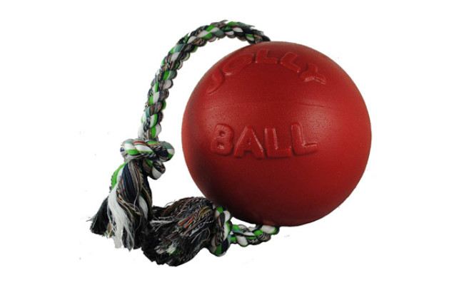 Jolly Pets Dog Ball