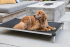 K9 Ballistics Chew Proof Elevated Dog Bed