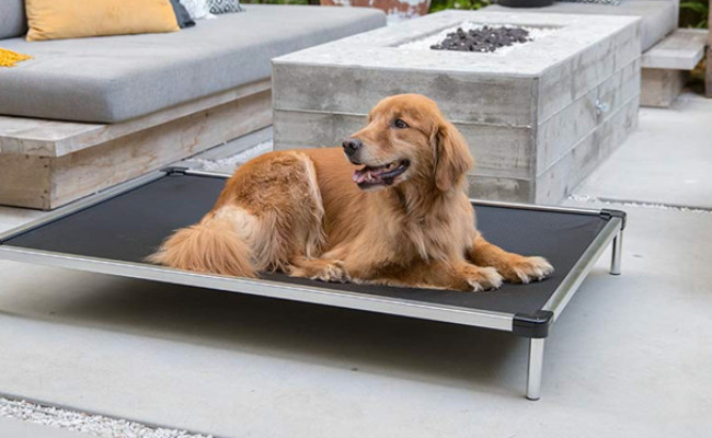 K9 Ballistics Chew Proof Elevated Dog Bed