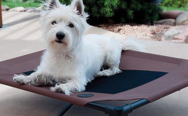 K&H Pet Products Indestructible Dog Bed