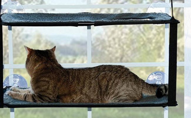 K&H Pet Products Window Mount Kitty Sill