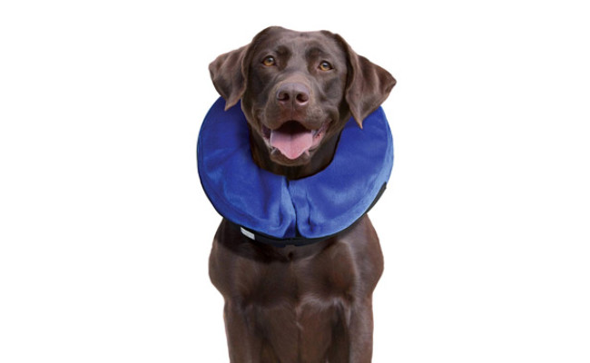 KONG Cloud E-Collar for Dogs