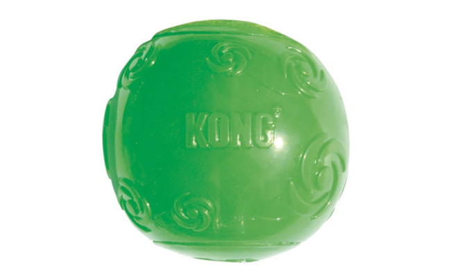 KONG Squeezz Ball Dog Toy