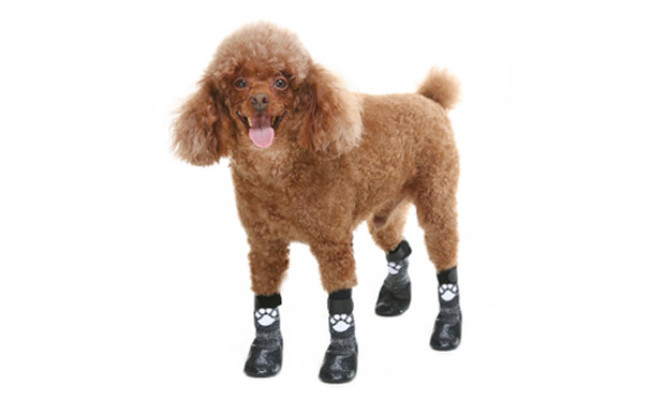 KOOLTAIL Anti Slip Socks for Dogs