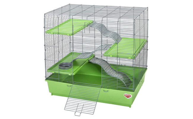 cage size for 2 rats