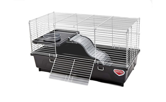 Kaytee My First Home Habitat for Pet Rat