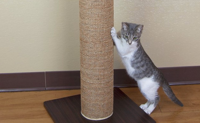 Kitty City Premium Woven Scratching Post