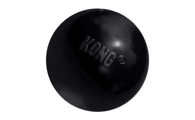 Kong Extreme Ball Dog Toy