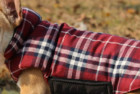 Kuoser Plaid Dog Sweater