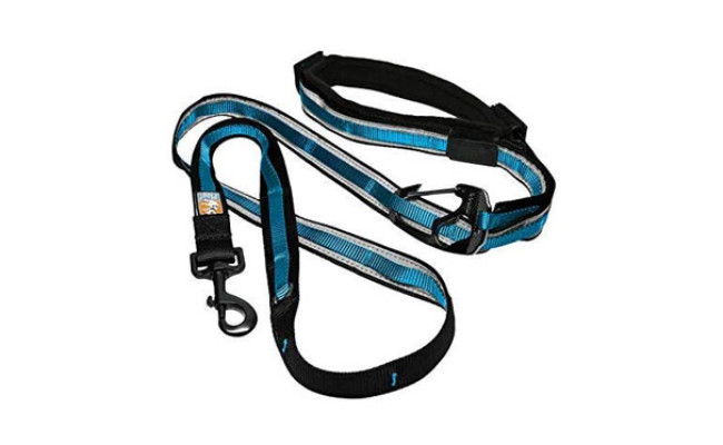 Kurgo Hands Free Dog Leash