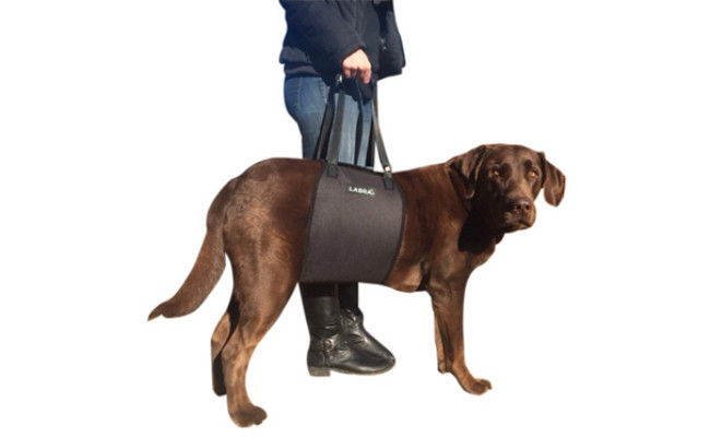 Labra Veterinarian Approved Dog Lift Harness