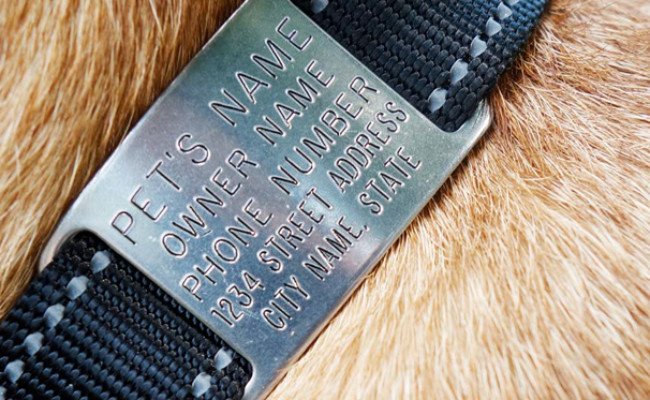 Leash Boss Dog ID Tag