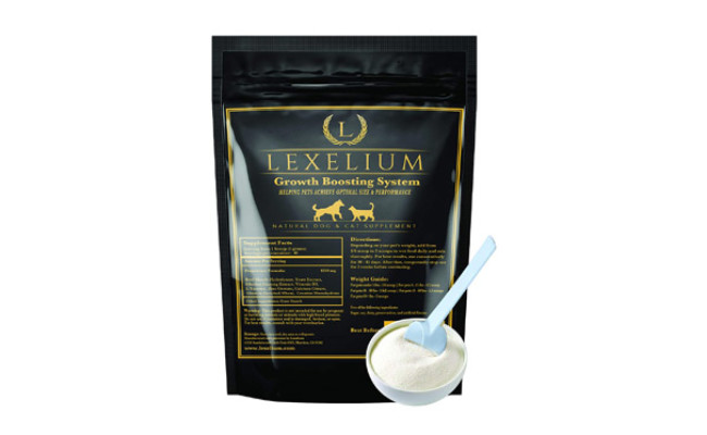 Lexelium Weight Gainer and Appetite Stimulant for Dogs