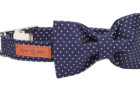 Lionet Paws Cat Collar with Bowtie