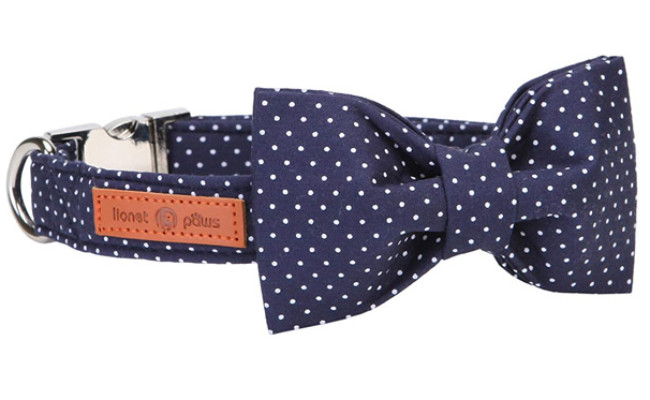 Lionet Paws Cat Collar with Bowtie