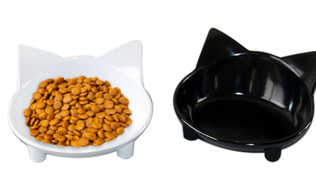 Lorde Cat Food Bowl