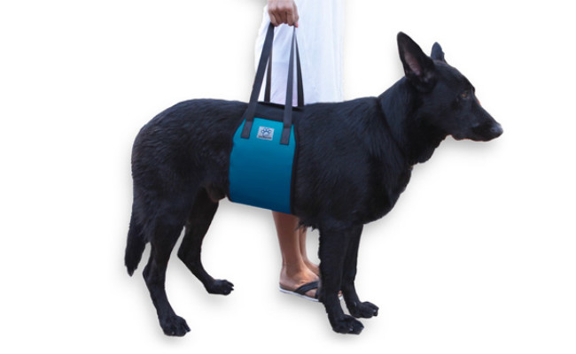 mobility harness for large dogs