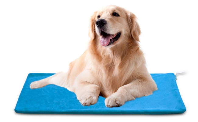 MARUNDA Dog Electric Heating Pad