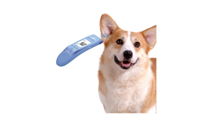 MINDPET-MED Fast Clinical Pet Thermometer for Dogs