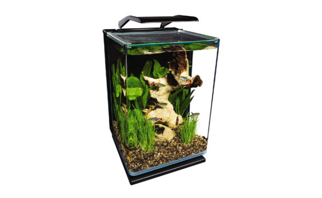 MarineLand 5 Gallon Portrait Glass LED Aquarium Kit