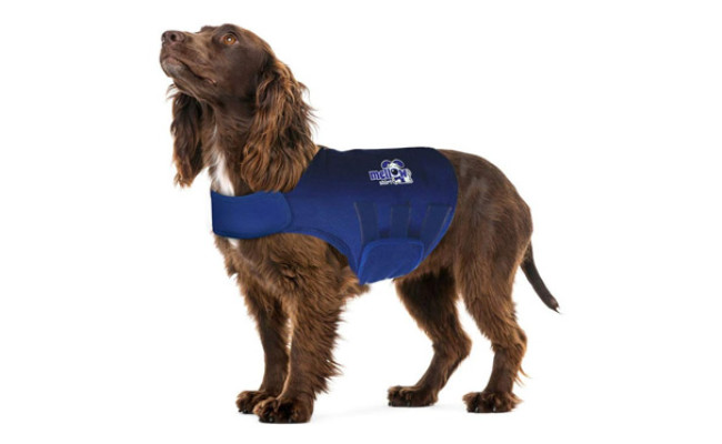 thunder jacket for humans
