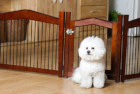 Merry 2-in-1 Configurable Dog Crate End Table