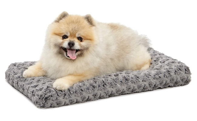 MidWest Homes Deluxe Dog Beds