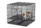 MidWest Homes For Pets Puppy Playpen